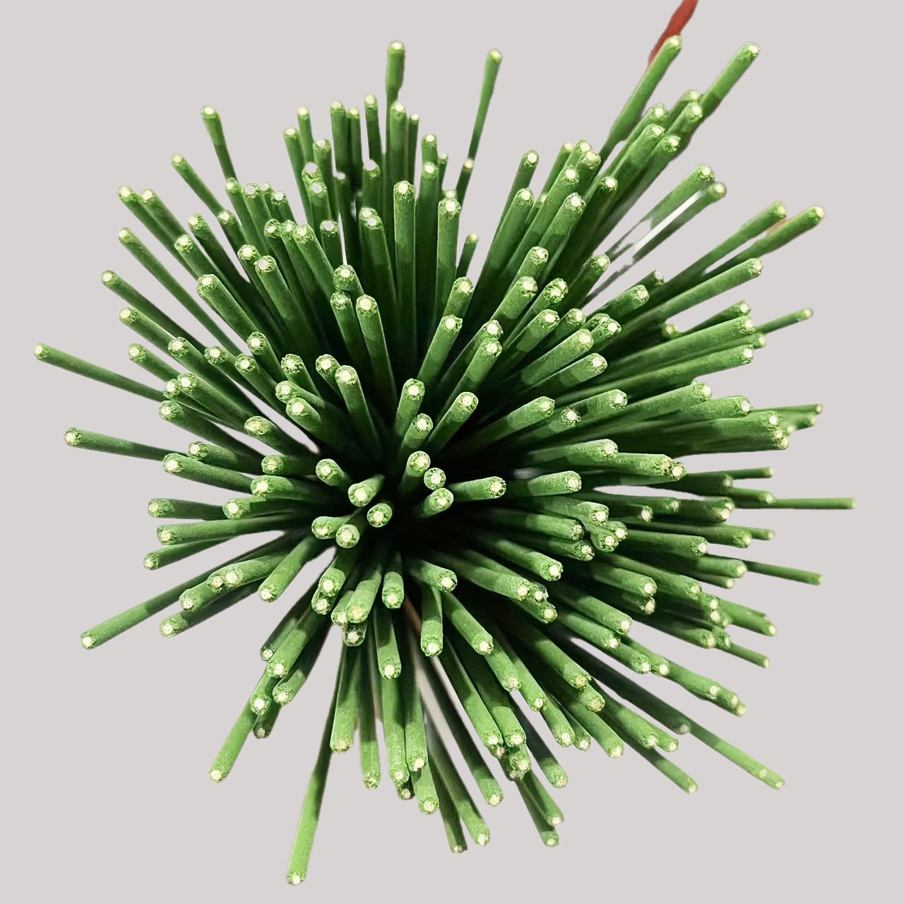 Тростниковый диффузор, палочки – обзор и цена Home Fragrance Lemongrass